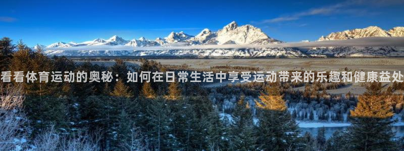 qy球友会体育：看看体育运动的奥秘：如何在日常生活中享受运动带来的乐趣和健康益处
