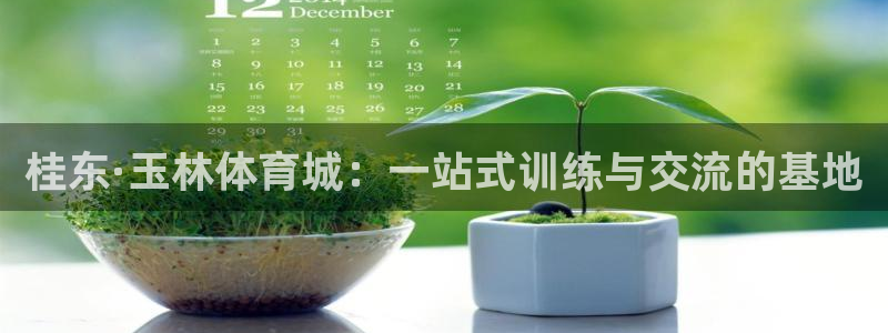 球友会体育最新版下载：桂东·玉林体育城：一站式训练与交流的基地