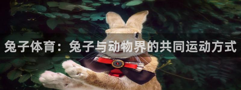 qy千亿球友会体育：兔子体育：兔子与动物界的共同运动方式