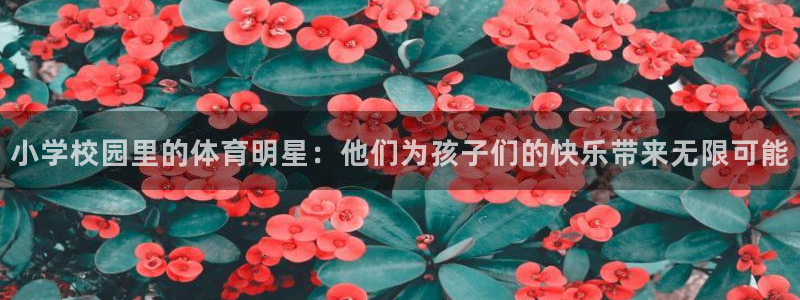 qy球友会体育网址：小学校园里的体育明星：他们为孩子们的快乐带来无限可能