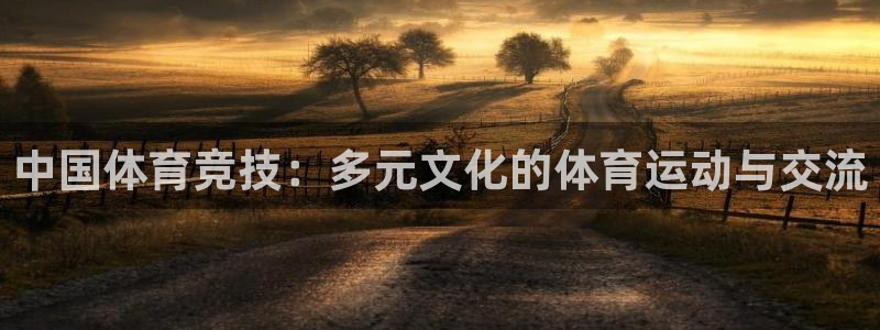 qy球友会体育：中国体育竞技：多元文化的体育运动与交流