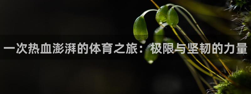 qy球友会体育：一次热血澎湃的体育之旅：极限与坚韧的力量