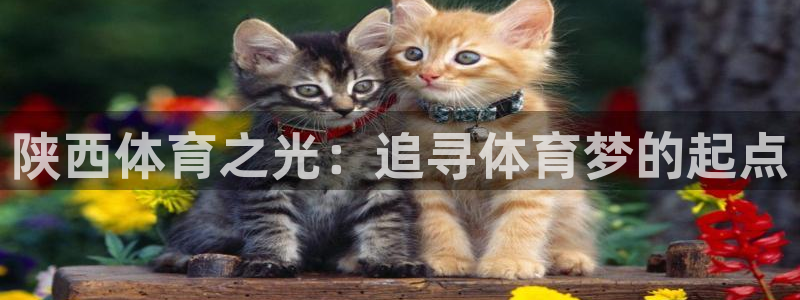 qy球友会体育：陕西体育之光：追寻体育梦的起点