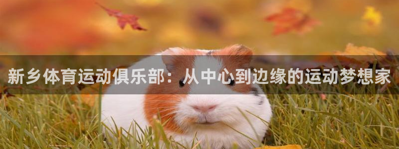 qy球友会体育：新乡体育运动俱乐部：从中心到边缘的运动梦想家