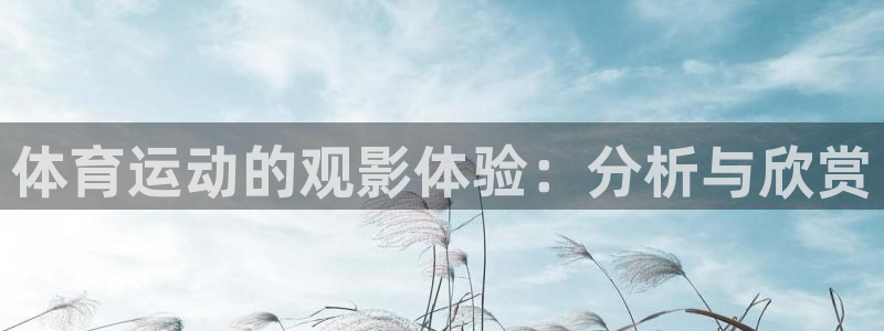 qy球友会体育网站：体育运动的观影体验：分析与欣赏
