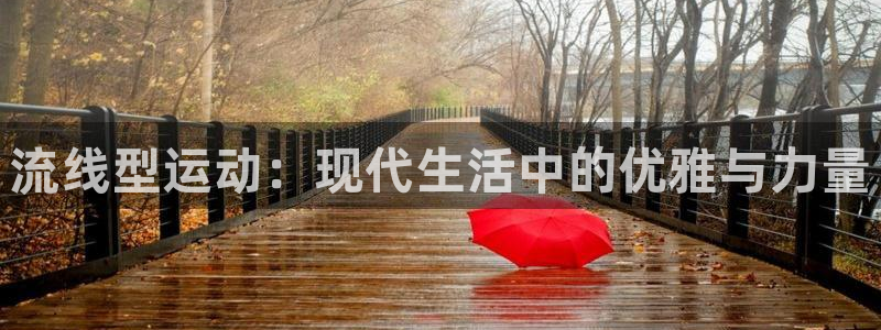 球友会体育官网：流线型运动：现代生活中的优雅与力量